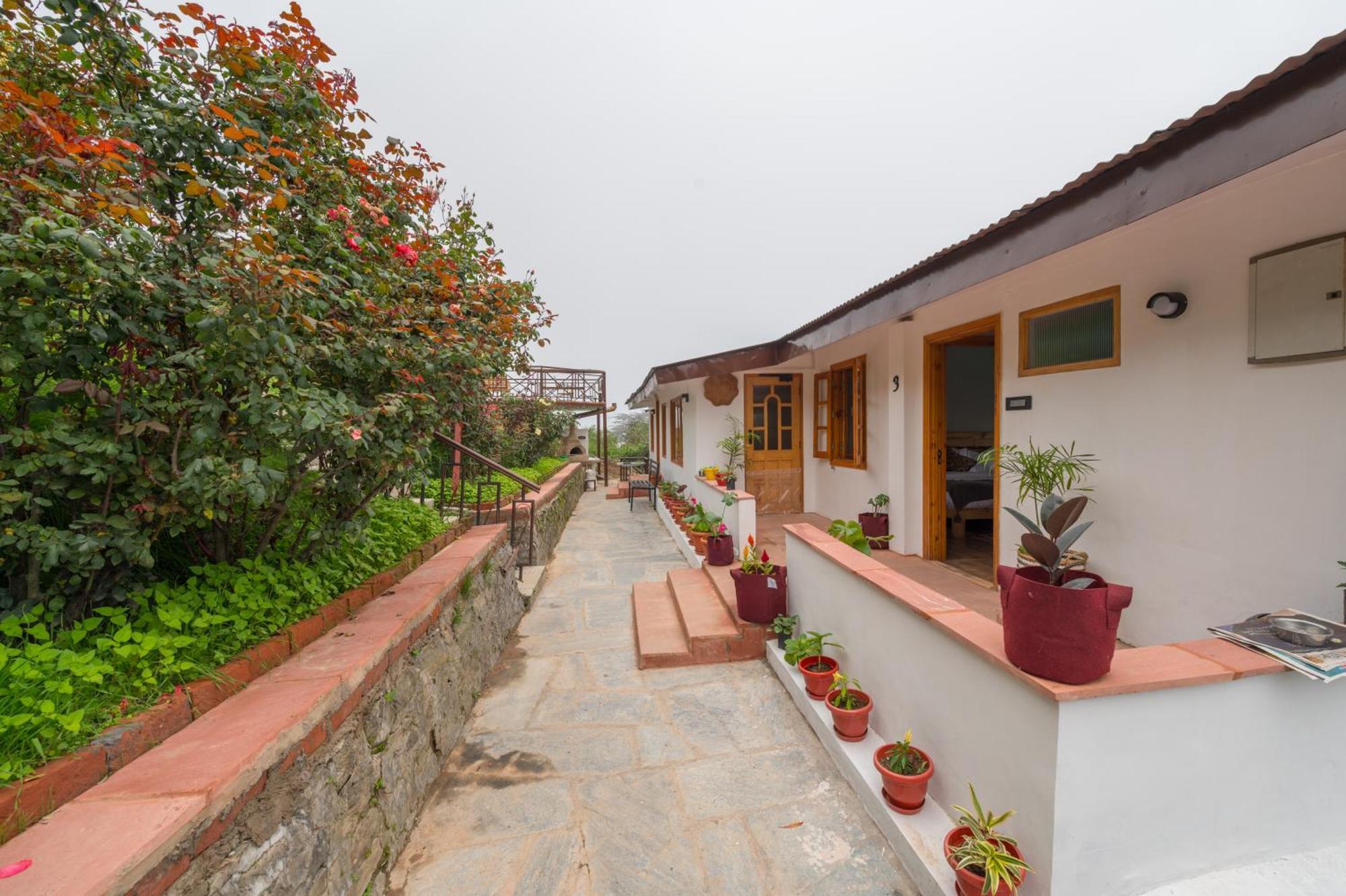 Cedar Hill Lodge - A Boutique Homestay 마쇼브라 외부 사진