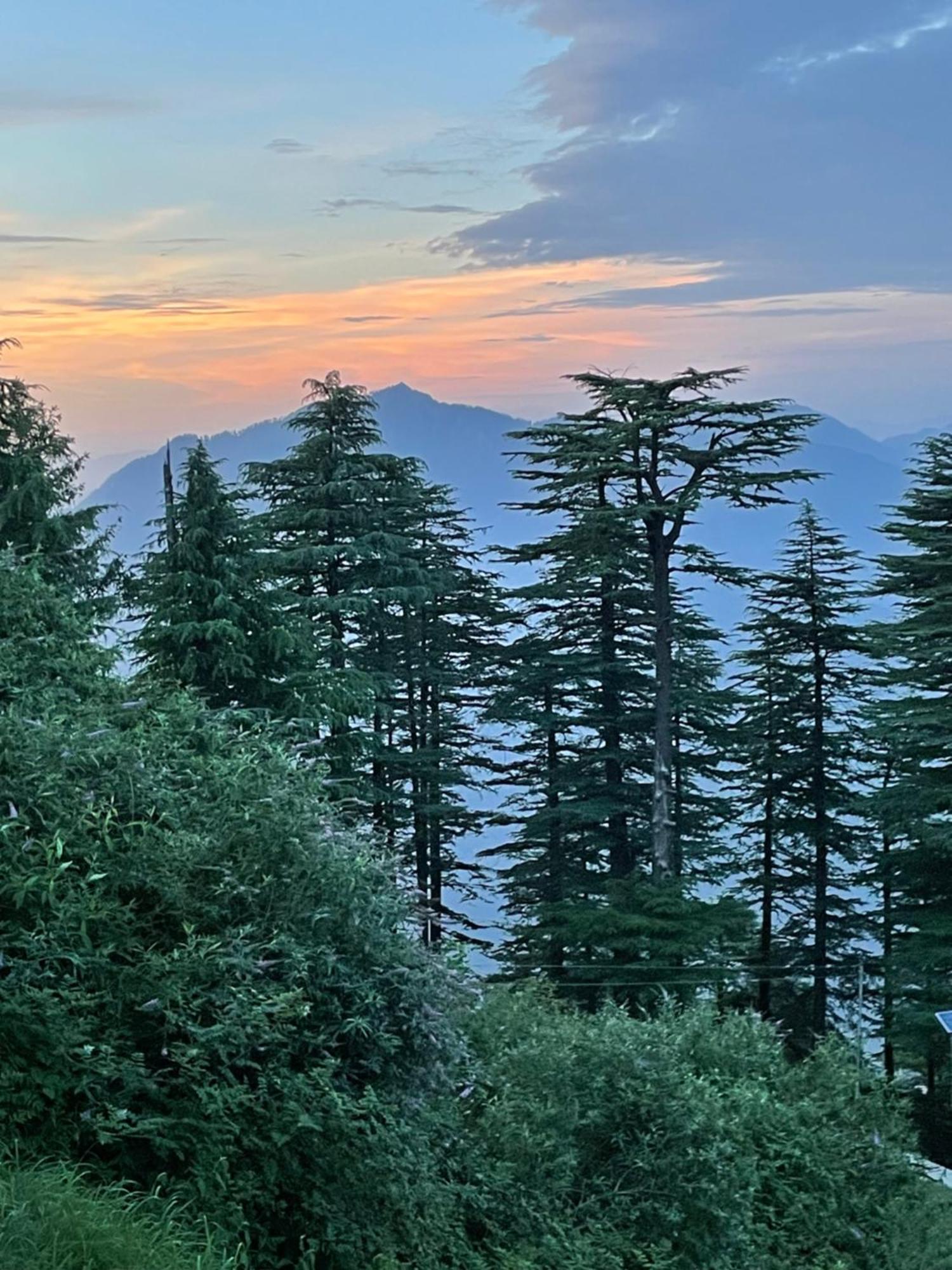 Cedar Hill Lodge - A Boutique Homestay 마쇼브라 외부 사진